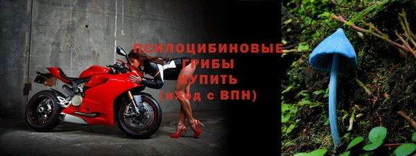 дмт Балабаново