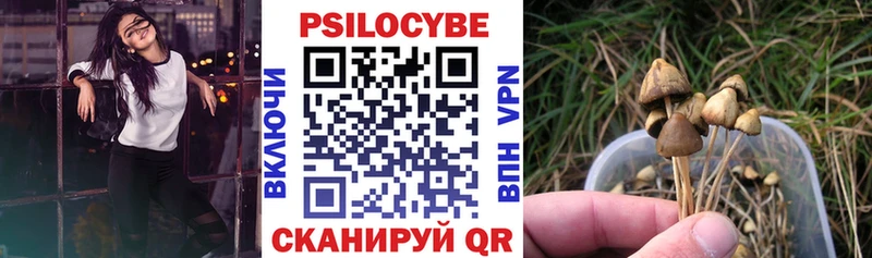 Псилоцибиновые грибы прущие грибы  Новый Оскол 